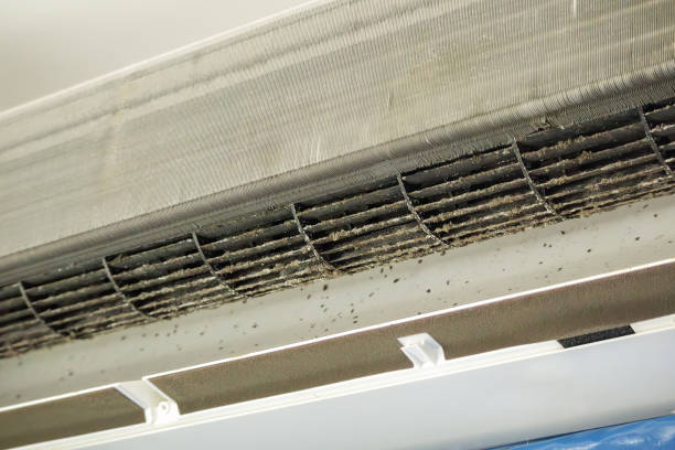 Best Commercial HVAC Duct Cleaning  in Marion, KY
